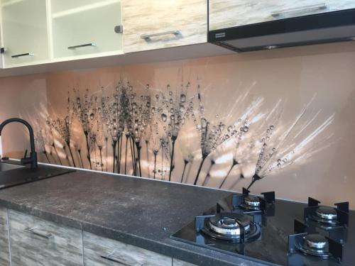 123259676 224171135762089 32599530406667436 n