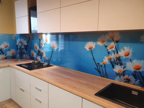 161941671 306843554161513 5731264463312302395 n