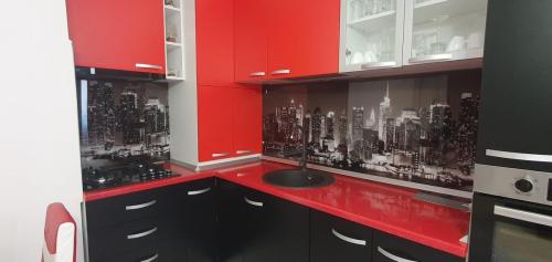 357471072 773342354583941 7359000108158378687 n